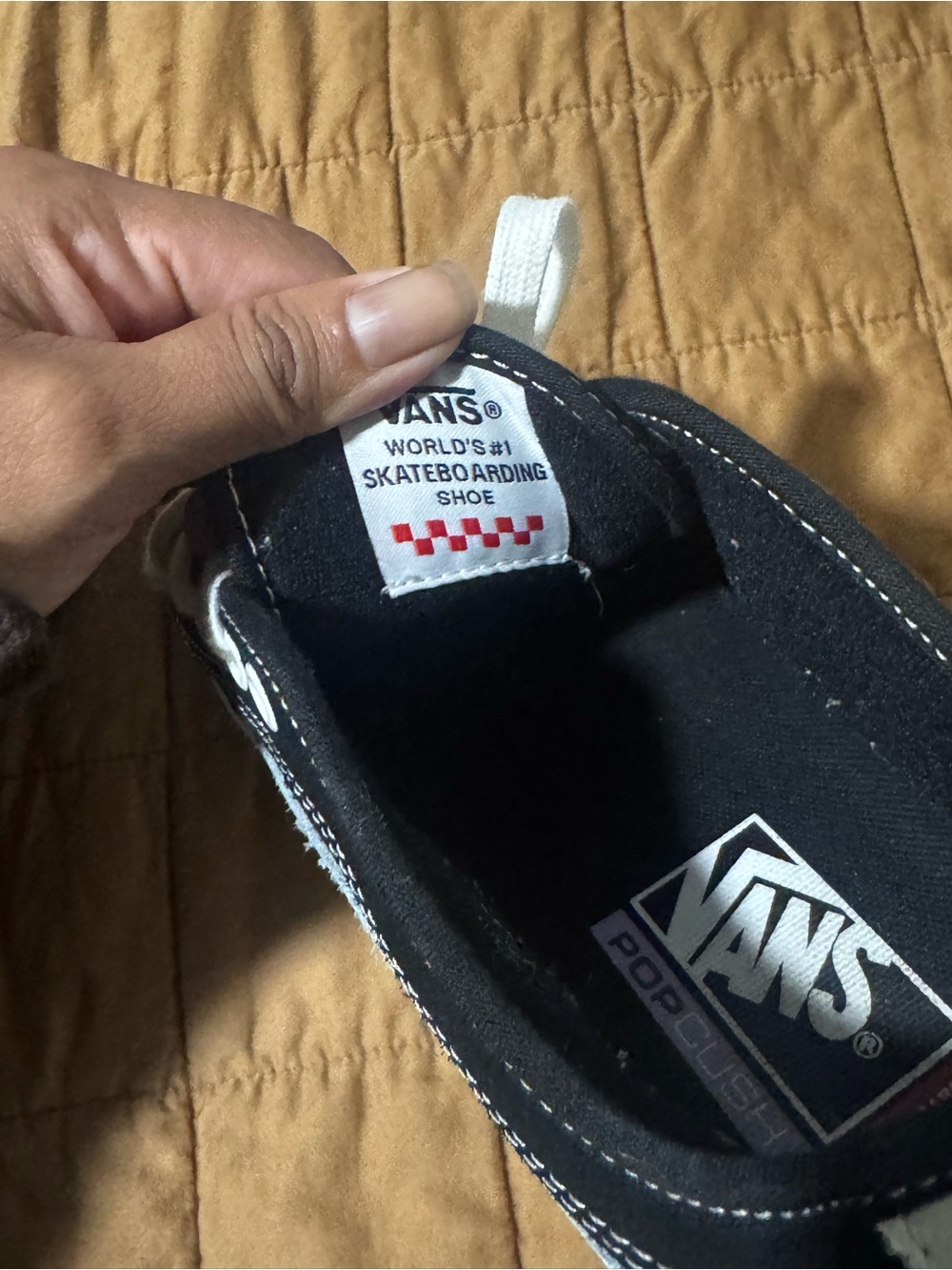 Vans - Picture 7 of 7